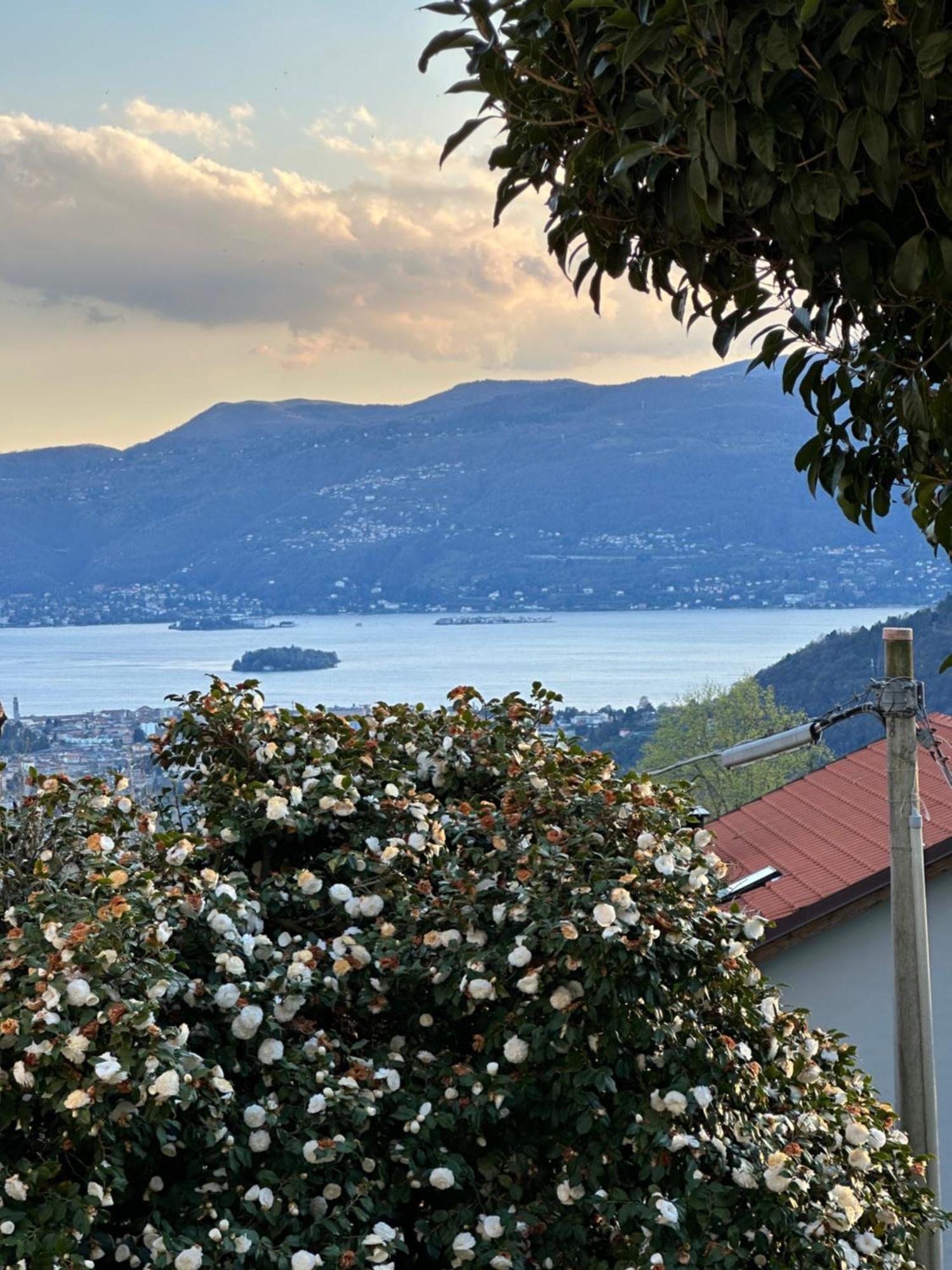 Villa Simonetta Bee Exterior photo